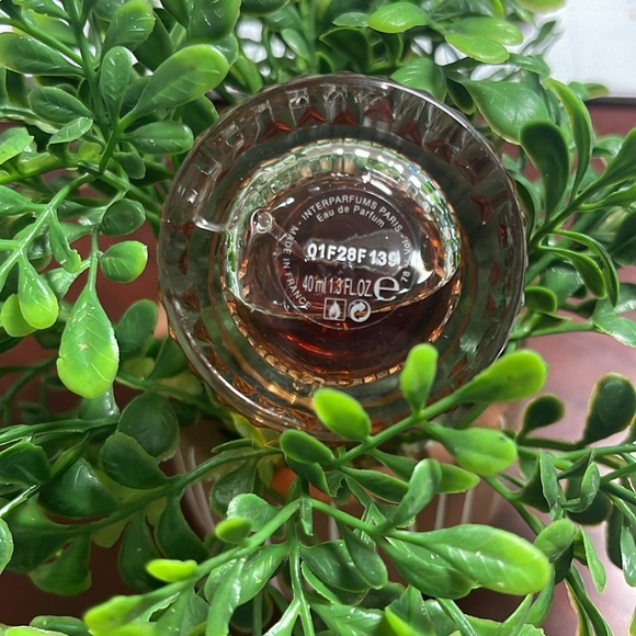 Jimmy Choo Illicit - Picture 4 of 4